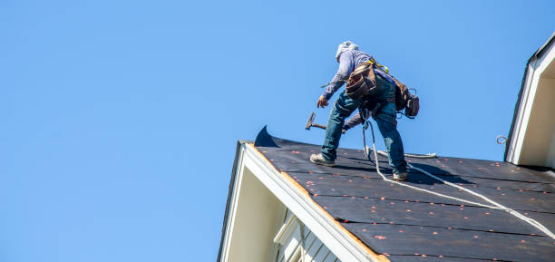 Best Roof Gutter Cleaning  in Highfill, AR